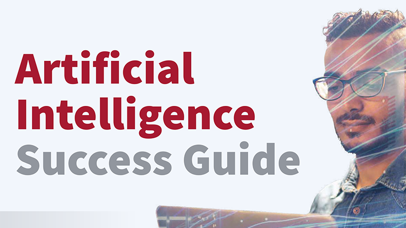 Artificial Intelligence Success Guide