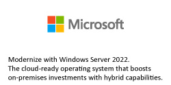 Microsoft Server